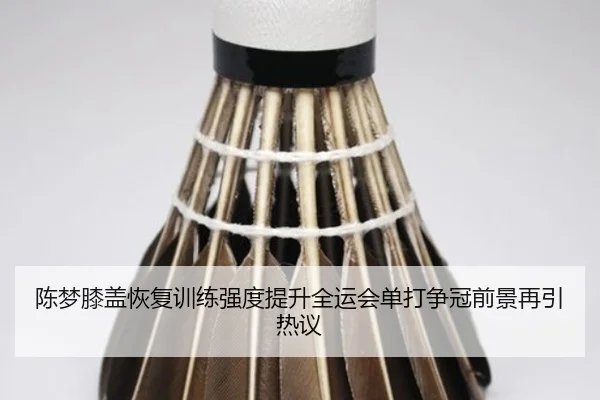 陈梦膝盖恢复训练强度提升全运会单打争冠前景再引热议